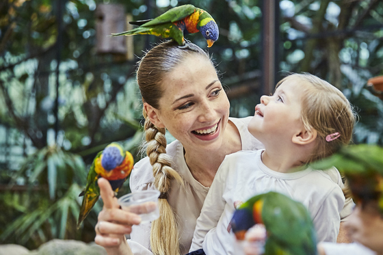 Weltvogelpark Walsrode